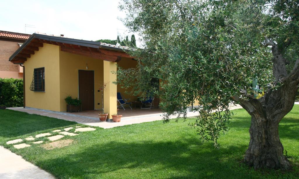 فندق L'Antico Vigneto مارينو المظهر الخارجي الصورة