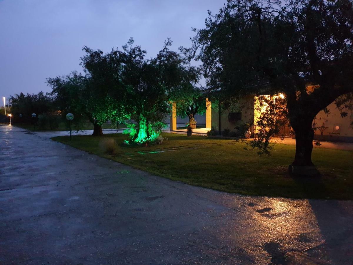 فندق L'Antico Vigneto مارينو المظهر الخارجي الصورة